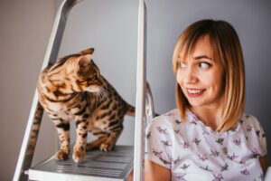 Élever correctement son chat