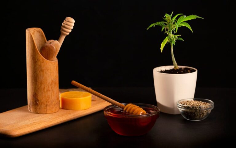 Le guide ultime des graines de cannabis autofloraison cannabis autofloraison